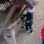 phoca_thumb_m_ke krmelci 21 Fotogalerie
